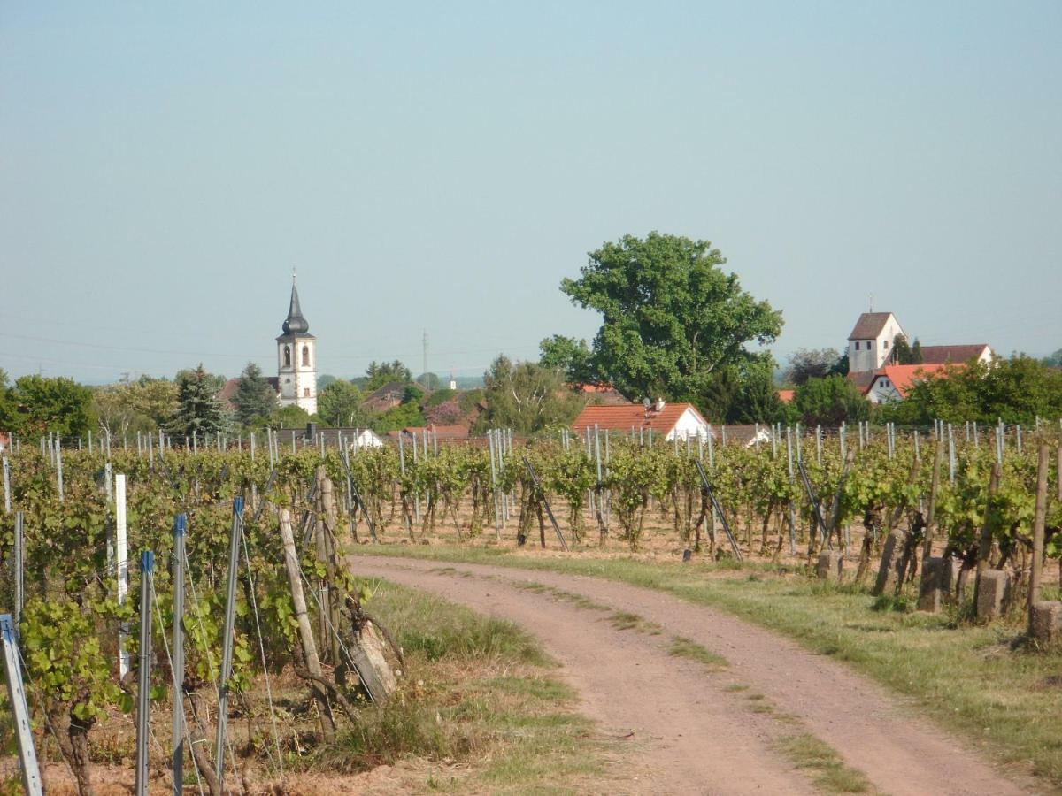 Ferienwohnung Suedpfalz Weingarten  Экстерьер фото